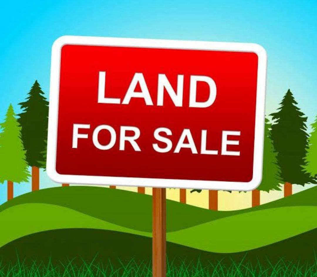 *FOR SALE: PARCEL OF LAND LYING ALONG ADEOLA ODEKU STREET, VICTORIA ISLAND, LAGOS*

Land Size: 3,400 Square Metres.

Price: ₦2.5Million Per Square Metre.

*Contact: +2348139096910; +2348123173582.*