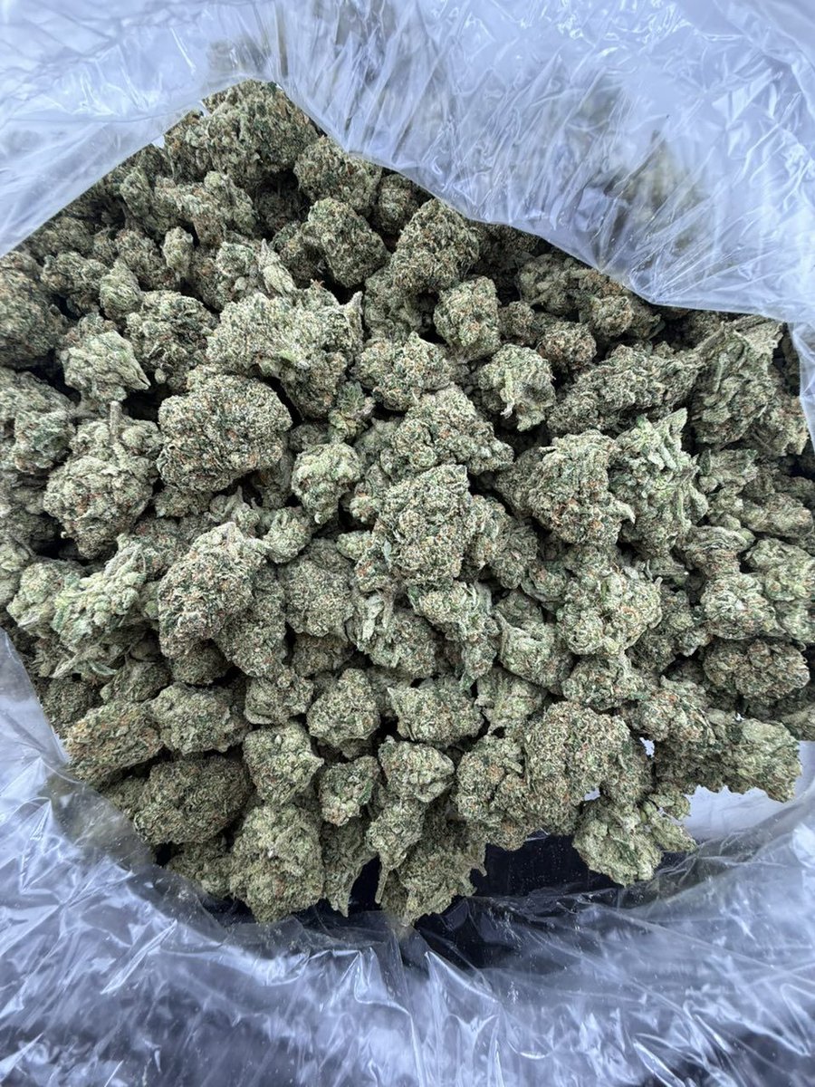 og_smoka's tweet image. Just the best way to start your morning fam with some Super skittles 
License indoor 
Super pungent gassy bag 🔥 
#420Community
#420Friendly
#CannabisCommunity
#StonerFam
#Mmemberville
#topshelf
#mids
#kind
#brickweed