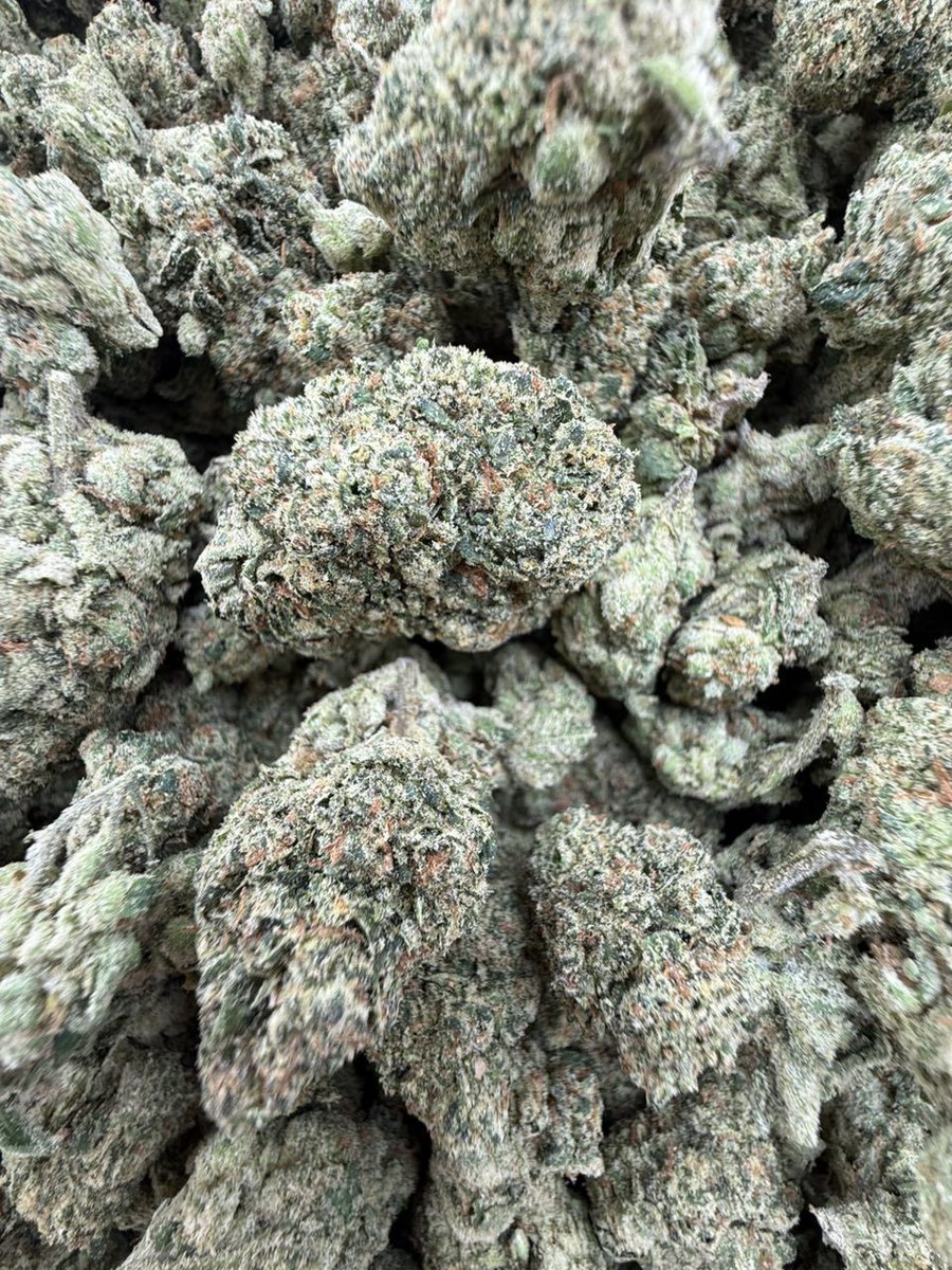 og_smoka's tweet image. Just the best way to start your morning fam with some Super skittles 
License indoor 
Super pungent gassy bag 🔥 
#420Community
#420Friendly
#CannabisCommunity
#StonerFam
#Mmemberville
#topshelf
#mids
#kind
#brickweed