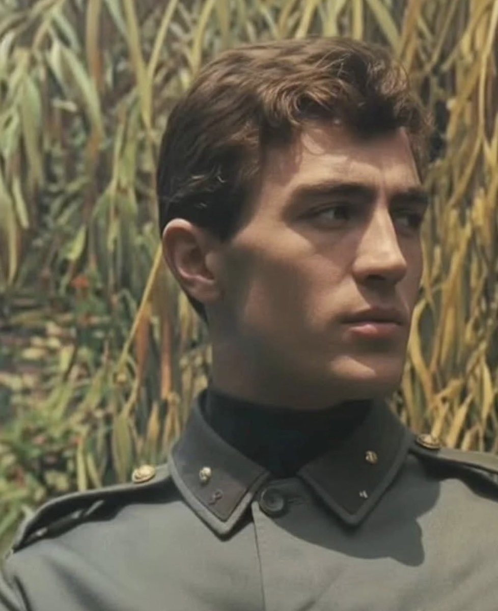 perihan gülsen tweet media