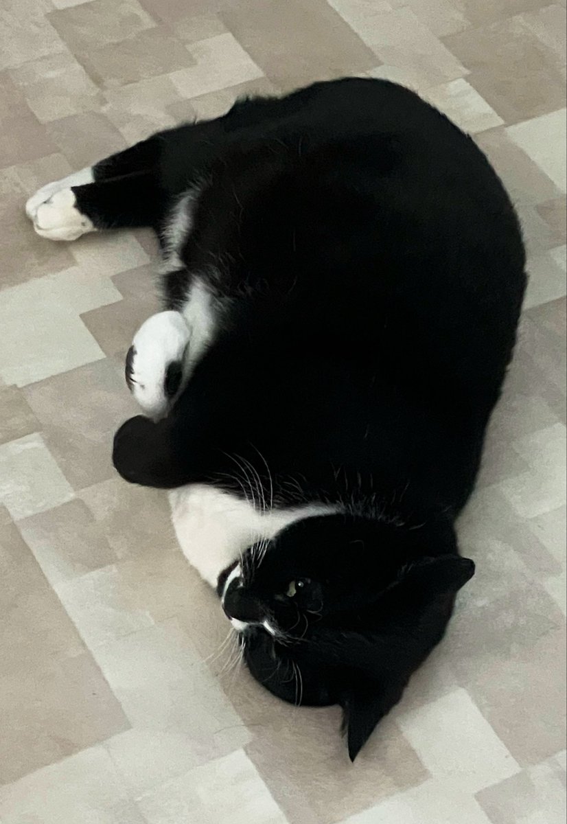 てるてるꕤ︎︎·͜· #ポイ活 tweet media