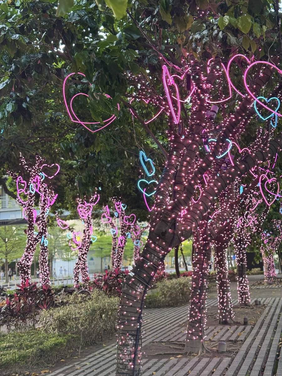 TimPantauu tweet media