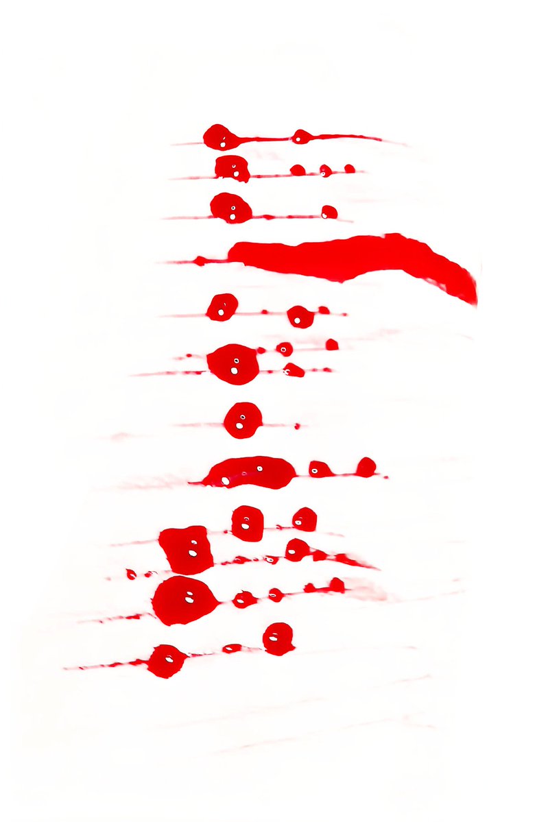 soup 𐔌՞ ܸ.ˬ.ܸ՞𐦯 tweet media