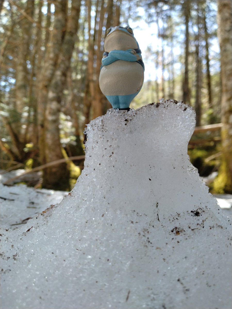 LittleYuji's tweet photo. 八ヶ岳に登って来ました。
少ないですがまだ雪も氷もありました。油断して滑らぬよう気を付けて。
#無事カエル https://t.co/2Qs71pWMHP