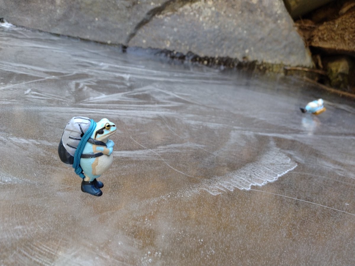 LittleYuji's tweet photo. 八ヶ岳に登って来ました。
少ないですがまだ雪も氷もありました。油断して滑らぬよう気を付けて。
#無事カエル https://t.co/2Qs71pWMHP