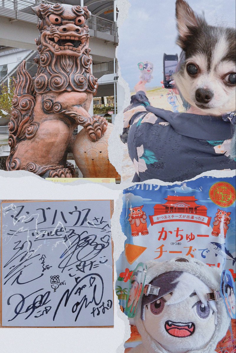 🐕エリのザベス🥺💙💚 tweet media