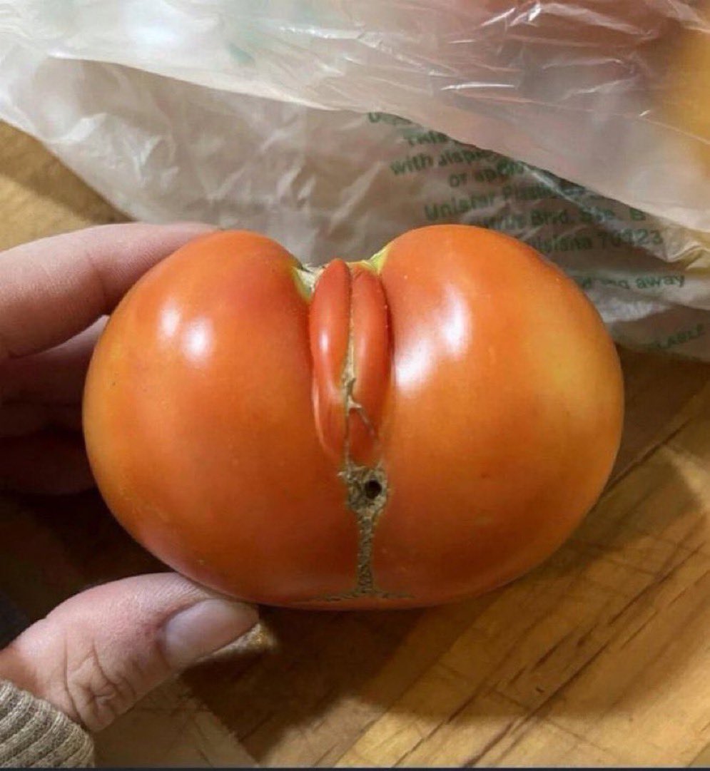 ひかたんグルメ🍚🍴 tweet media