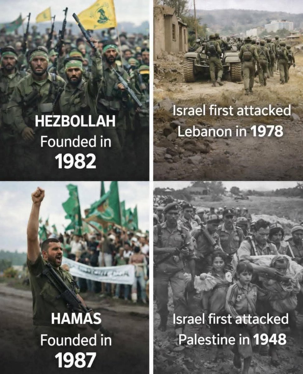 Noshabah tweet media