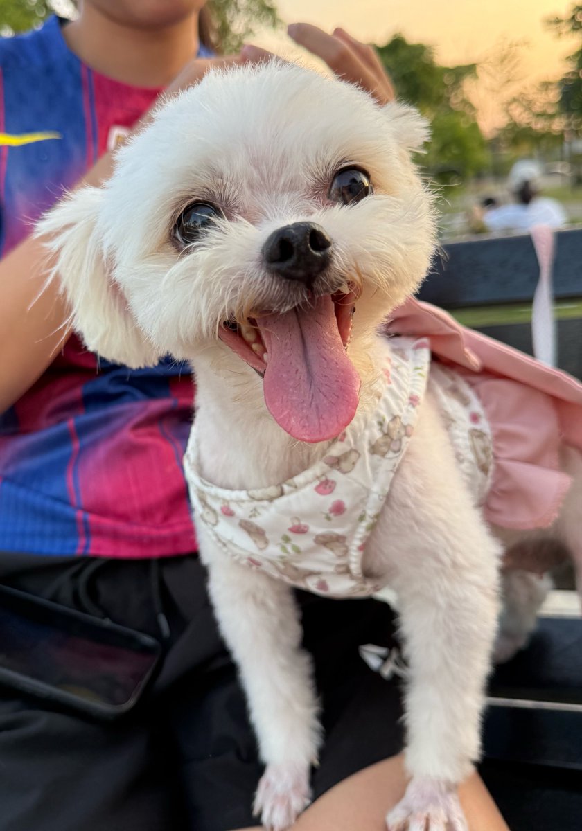 DNVP 💋 (Malonfamily) tweet media