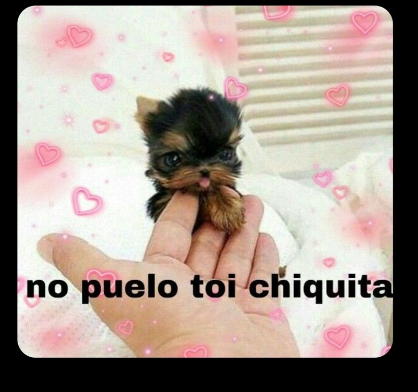 Ariel Varela tweet media