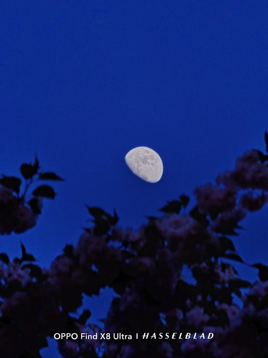 rejecthesarei's tweet image. 仁川の中華街
#ShotOnOppo
#FindX8Ultra