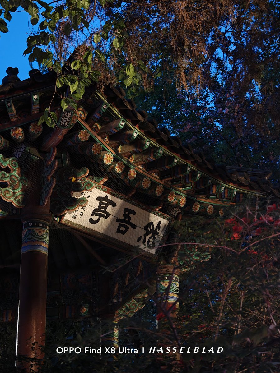 rejecthesarei's tweet image. 仁川の中華街
#ShotOnOppo
#FindX8Ultra