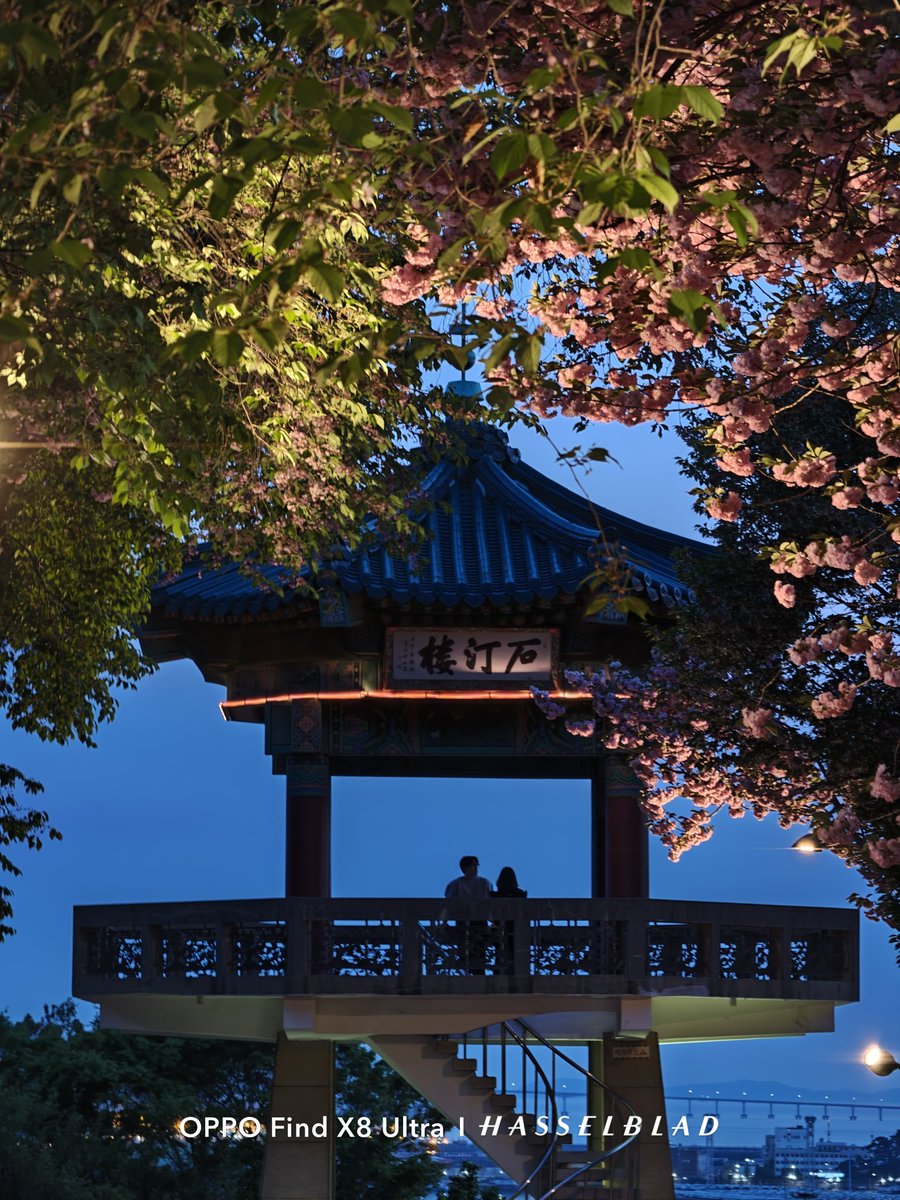 rejecthesarei's tweet image. 仁川の中華街
#ShotOnOppo
#FindX8Ultra