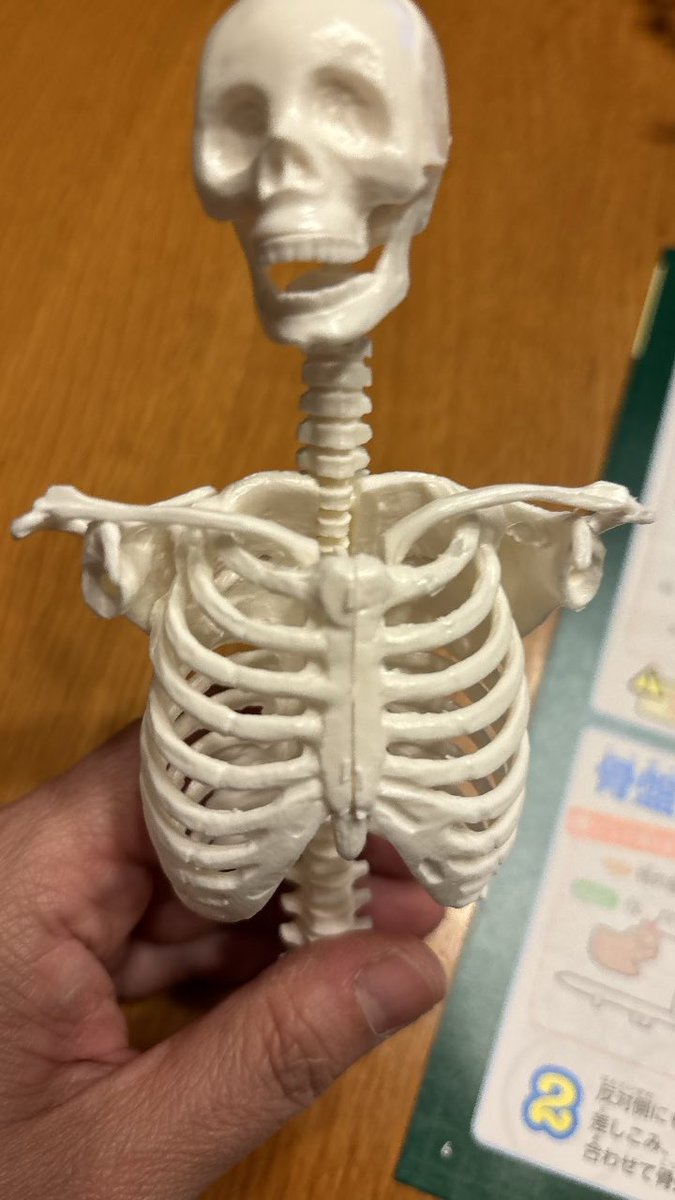 𝕟𝕪𝕠𝕣𝕠𝕣𝕠 tweet media