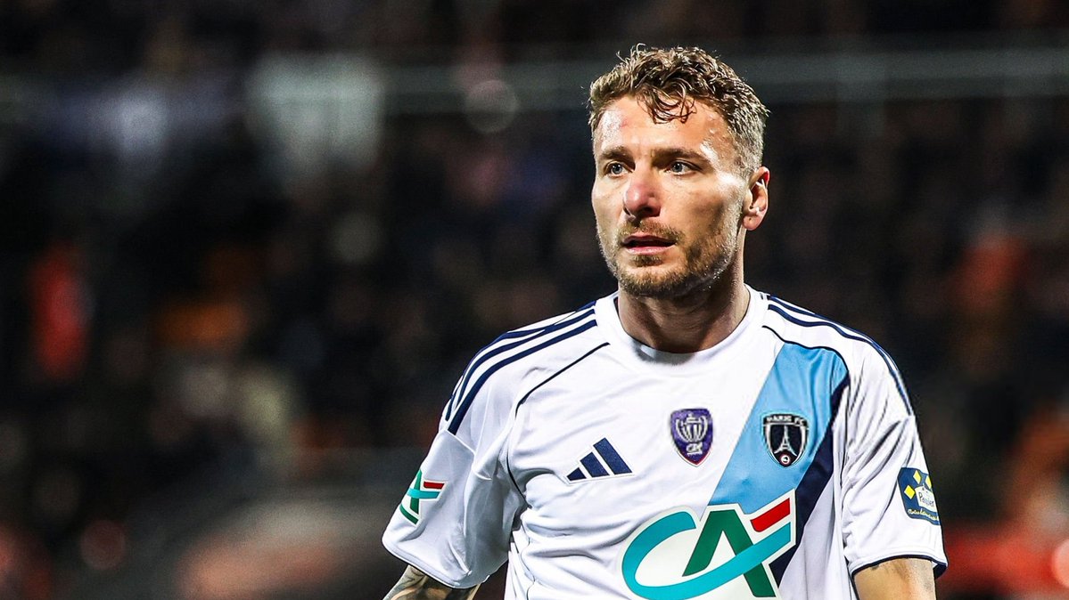 L1 Insider 🇨🇵🇧🇷 tweet media