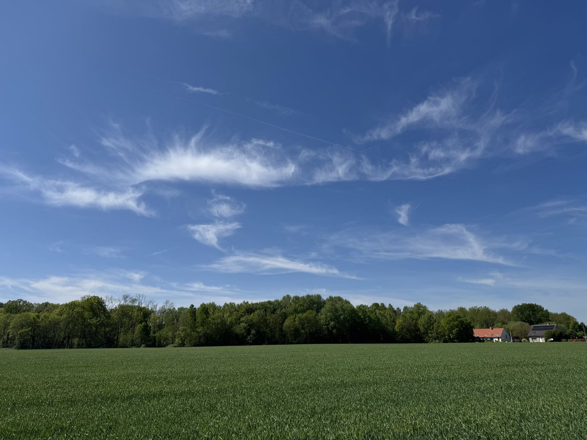 Kultuz's tweet photo. #vrtweer Kampenhout, 13.15u https://t.co/HDoRLWYRLK