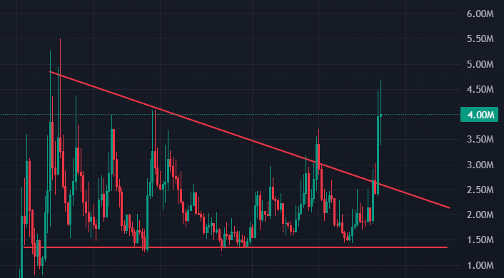 Shrebobo tweet media