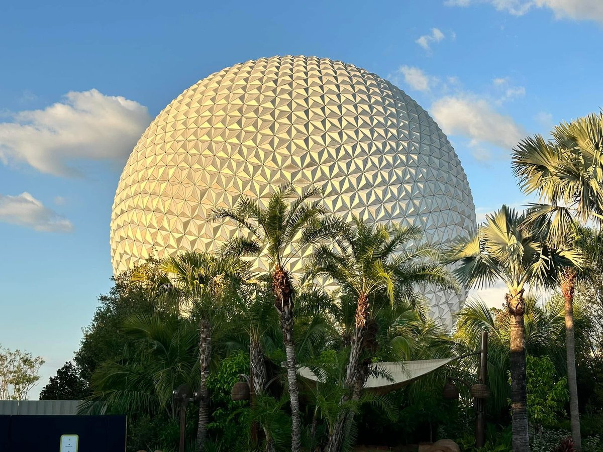 WDWDVC🌴 tweet media