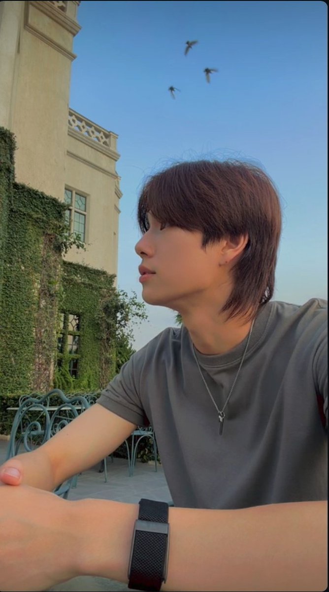 fowieess tweet media