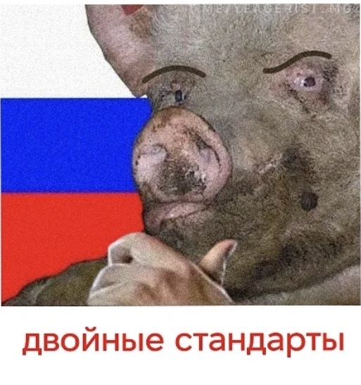 Карло Кирик tweet media