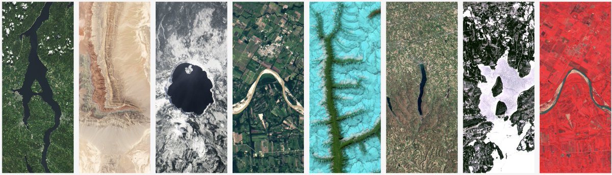 Aloneian.Gamefi tweet media