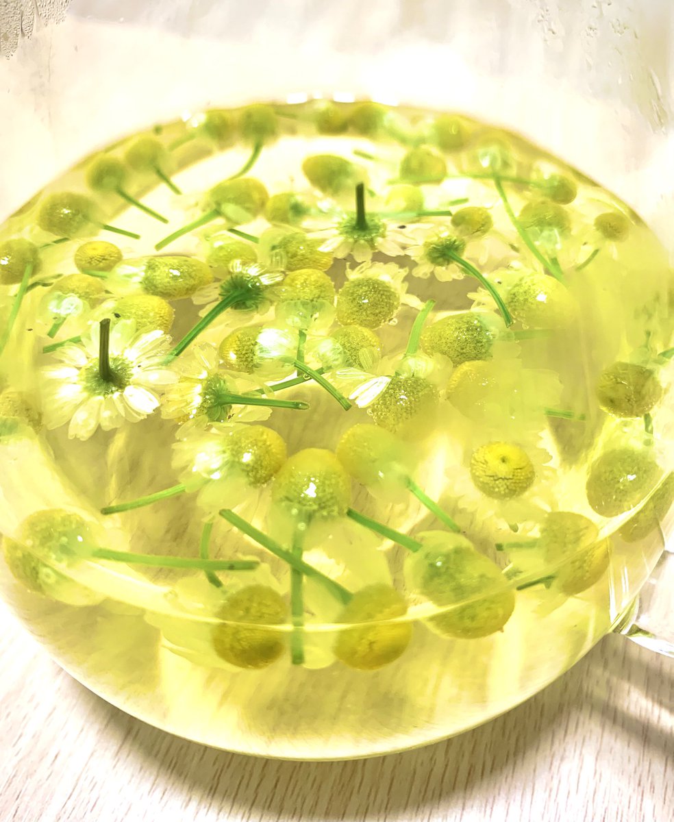 上田あや 目黒区議会議員　日本維新の会 tweet media