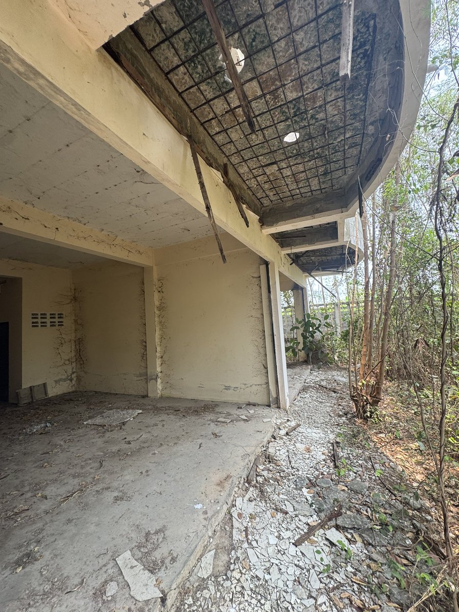 CharnonOD tweet media