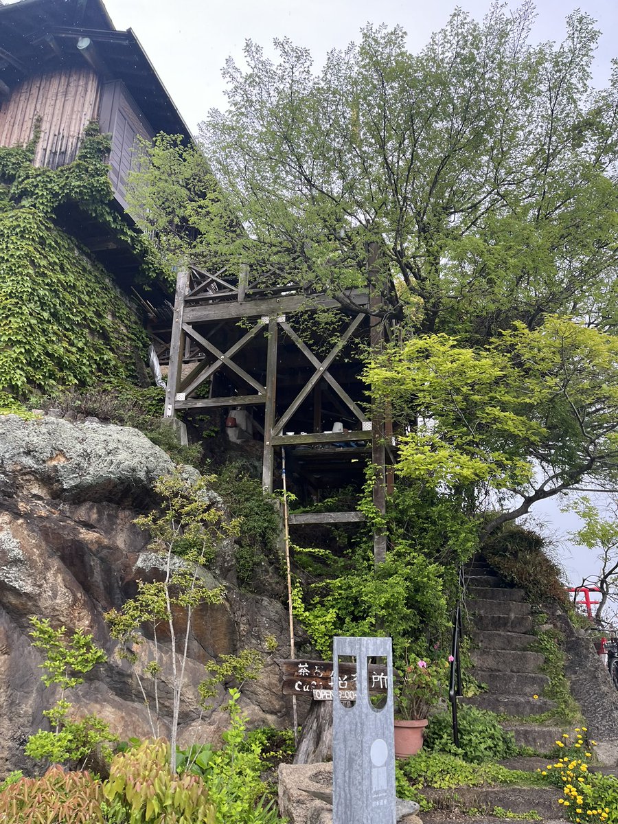 oimozuki tweet media