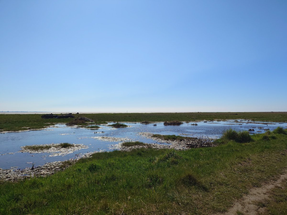 MonicaCrimmins's tweet image. Yesterday we had a lovely afternoon in Lytham #Lytham #Fylde #Lancashire