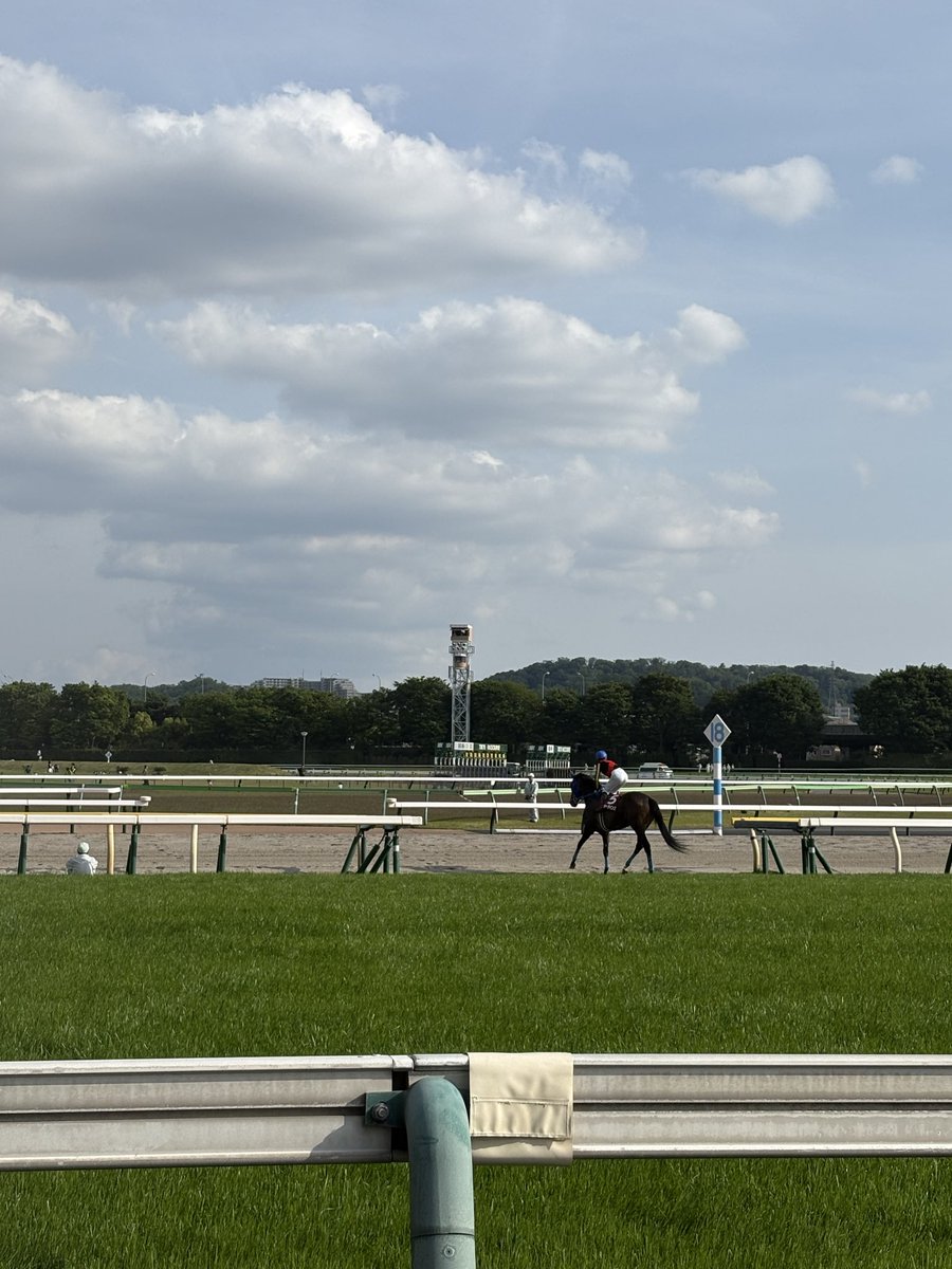 よしな tweet media