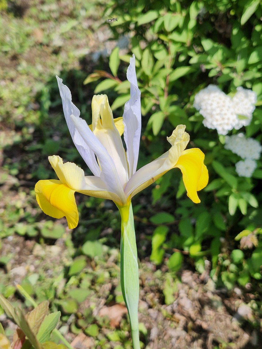 るんりん tweet media