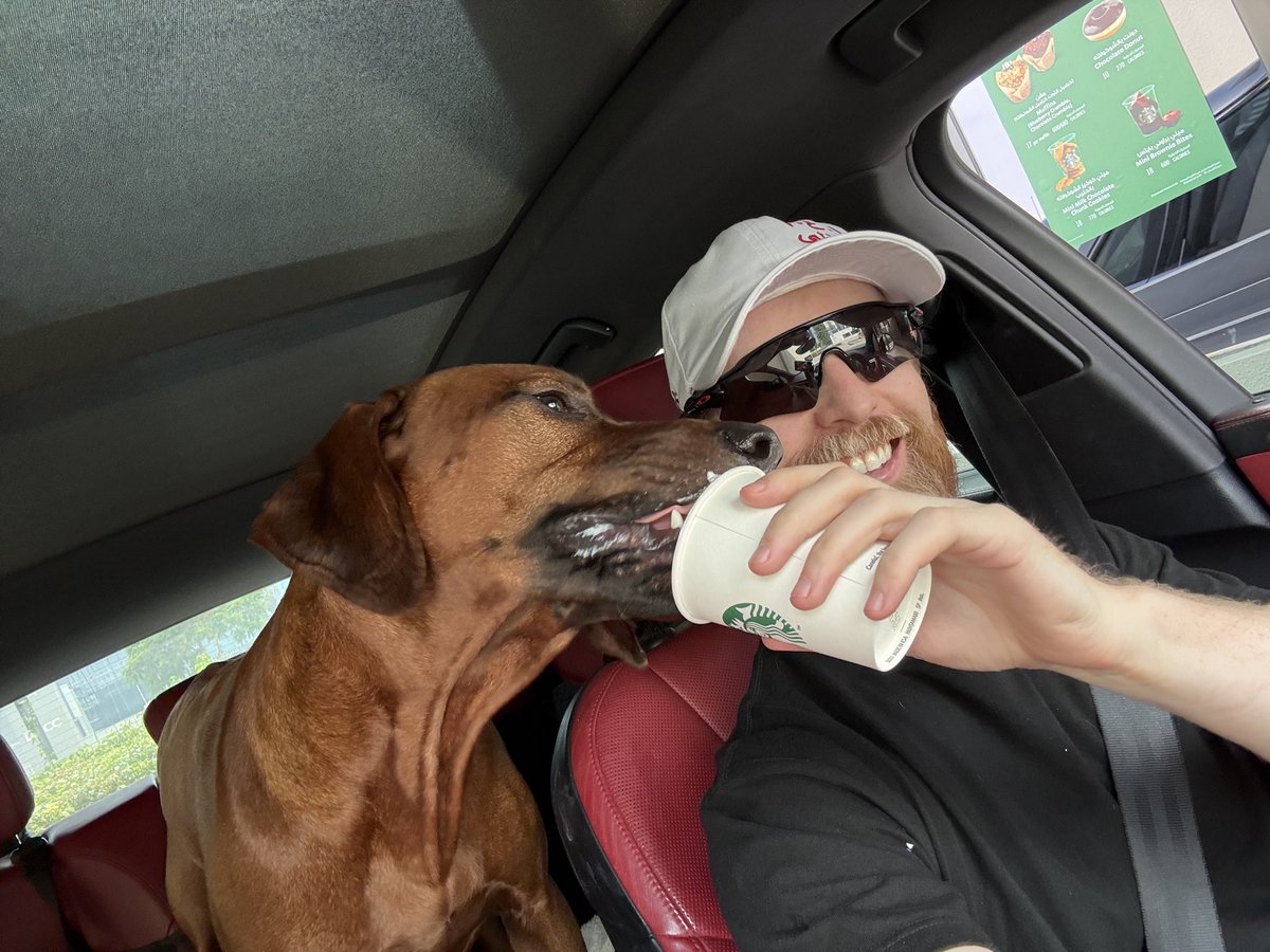 Paul Warren tweet media