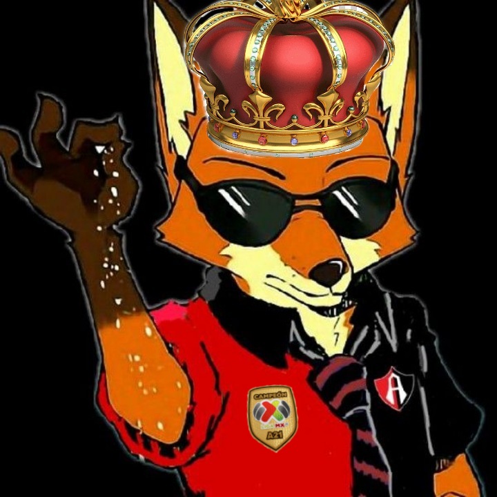 FURYMEX80's tweet photo. @LigaMexicanaBR @SportyNetBrasil Atlas ❤️🦊🖤 https://t.co/AwLtEdfMZI