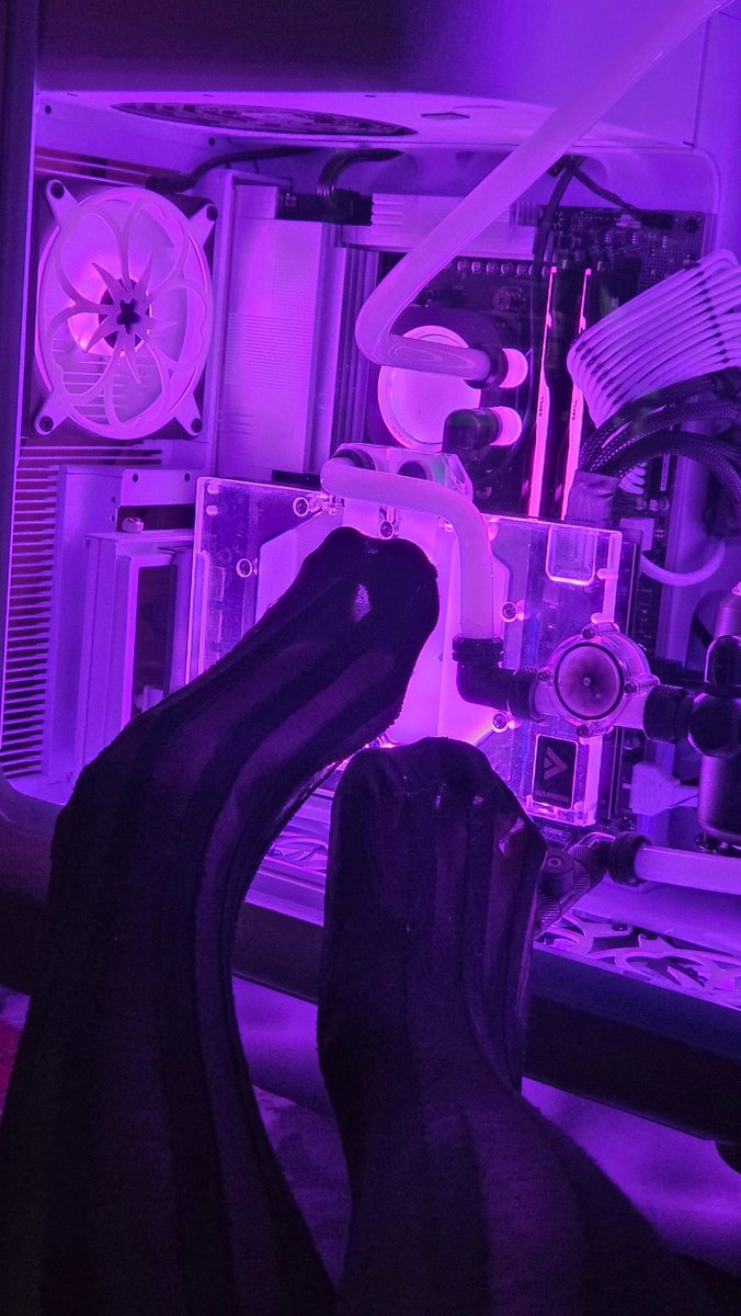 Behelit_Devour's tweet image. Yummy new #PC and #socks. I need some new pairs for you guys, maybe that will happen at a later date. If I feel generous maybe I'll even take them off. Recommend me some games and upgrades if you see any fit