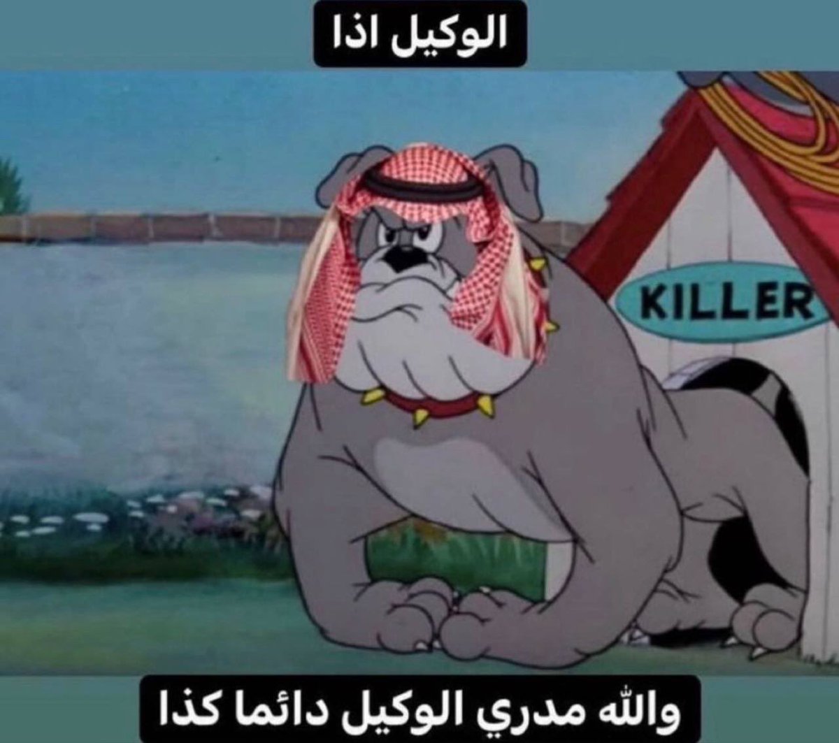 abdulrahman tweet media