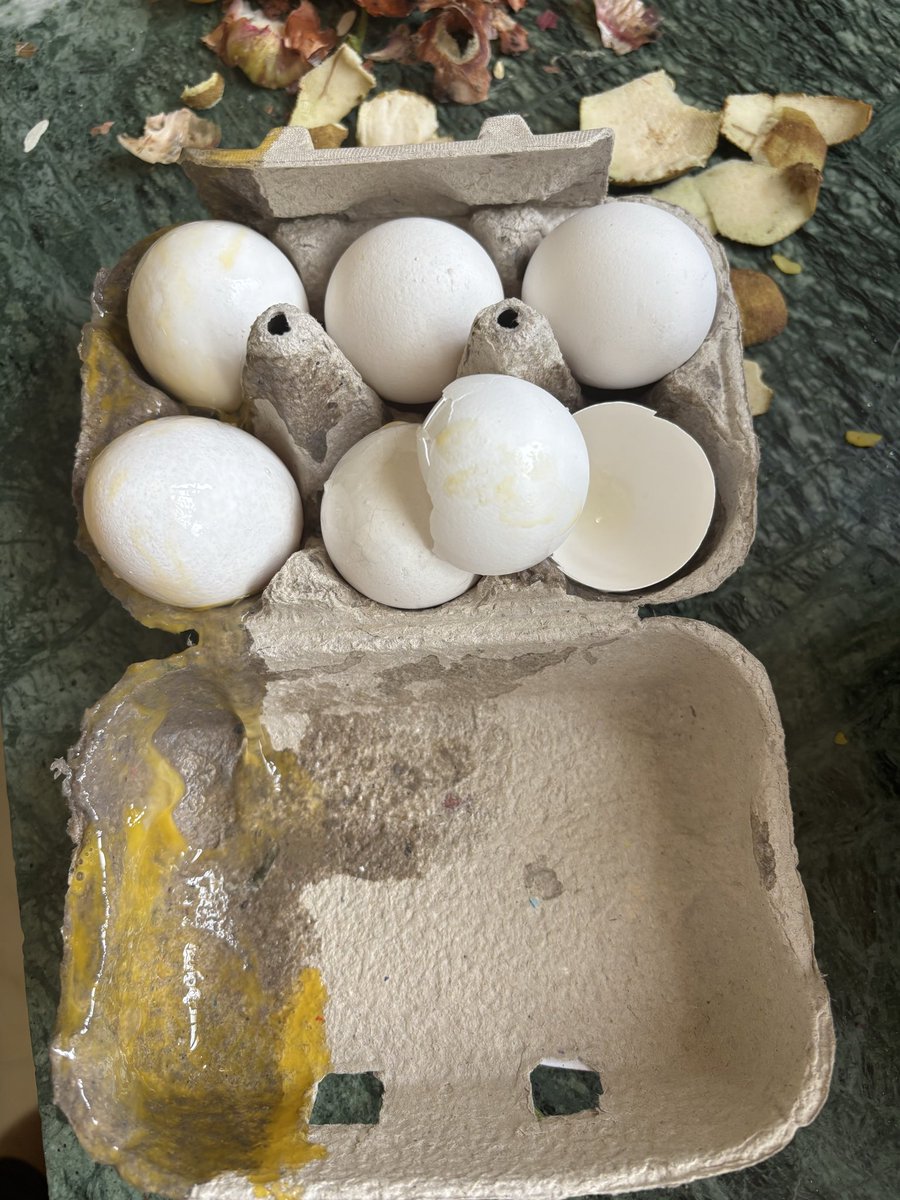 rmantu92's tweet photo. Blinkit se egg order kiya wo tuta aaya 3 egg this is not good @letsblinkit @blinkitcares #bhopal #blinkit #blinkitorder https://t.co/VwW3dphEzF
