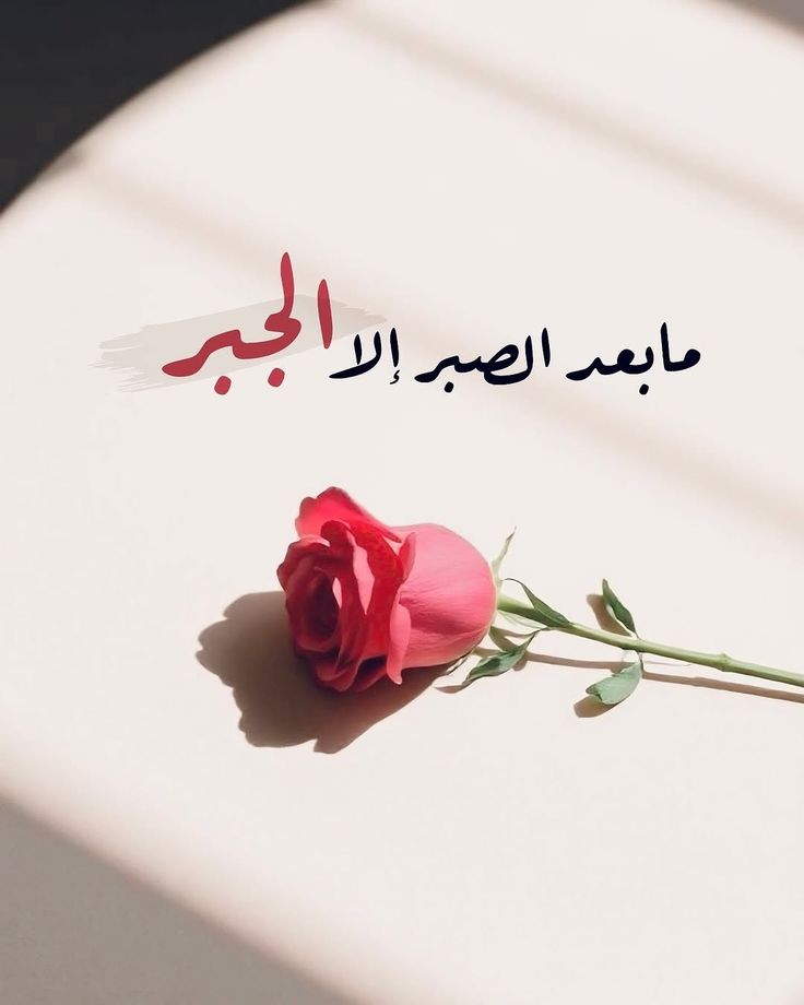مُطمئِنةَ.! tweet media