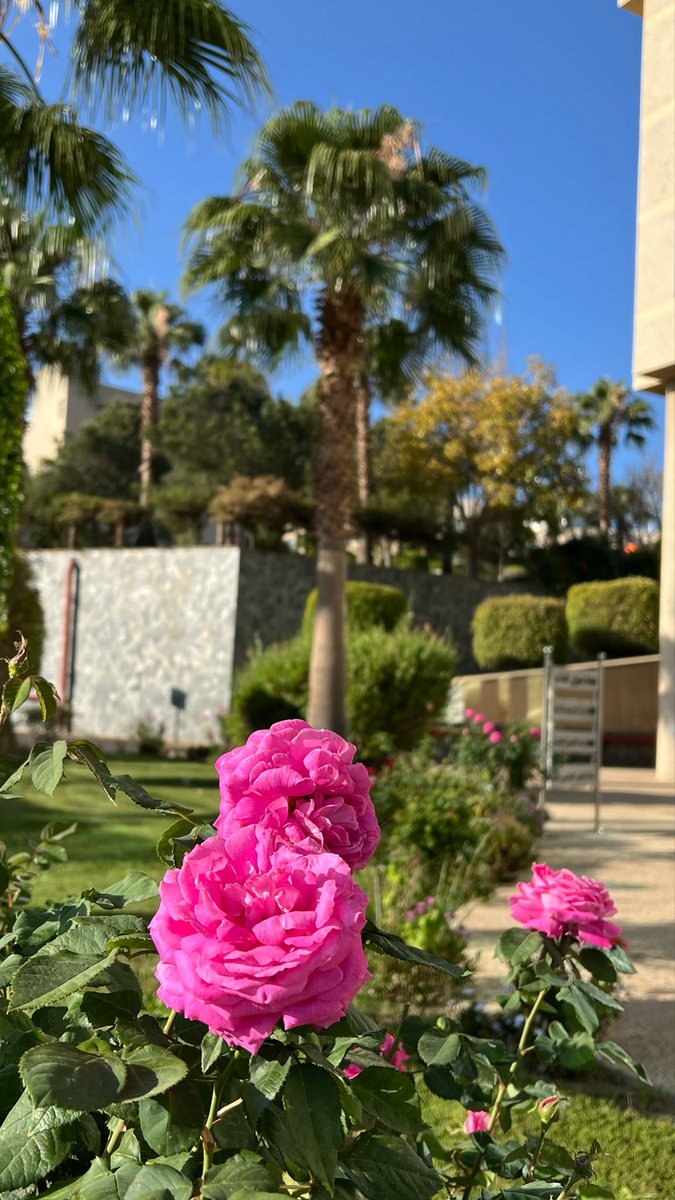 n_j102's tweet photo. صباح الخير وبعد :

بين نِعم حاصلة، و نِعم مُنتظره،
و نِعم لا نشعُر بها .. لك الحمد يا الله. https://t.co/DZXxgxDrbf