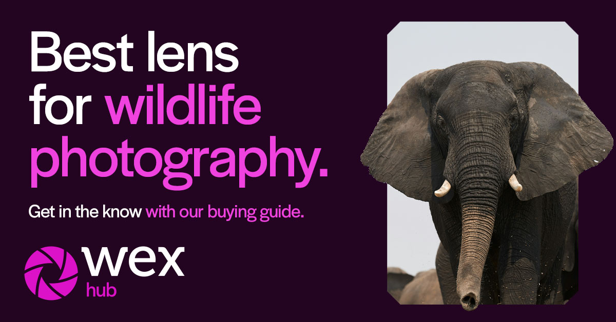 Wex Photo Video tweet media