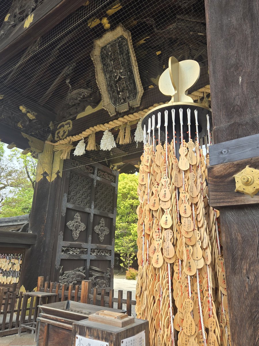otomemoshi's tweet photo. #京都豊国神社
#豊臣兄弟 https://t.co/5KPmg6DXce