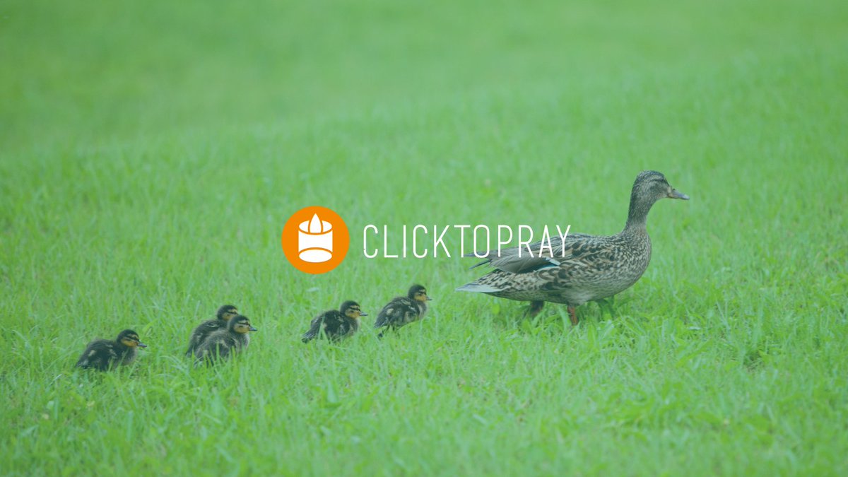 Click To Pray | O Video do Papa tweet media