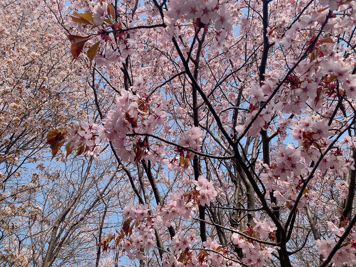 たか∞のり@自由人 tweet media