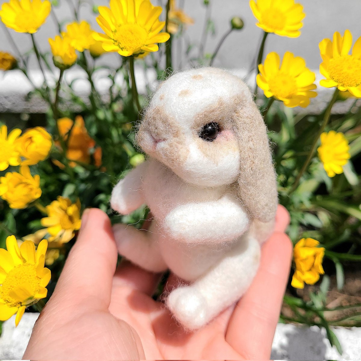 rabbica -自由が丘-(ラビット×雑貨→ラビッカ) tweet media