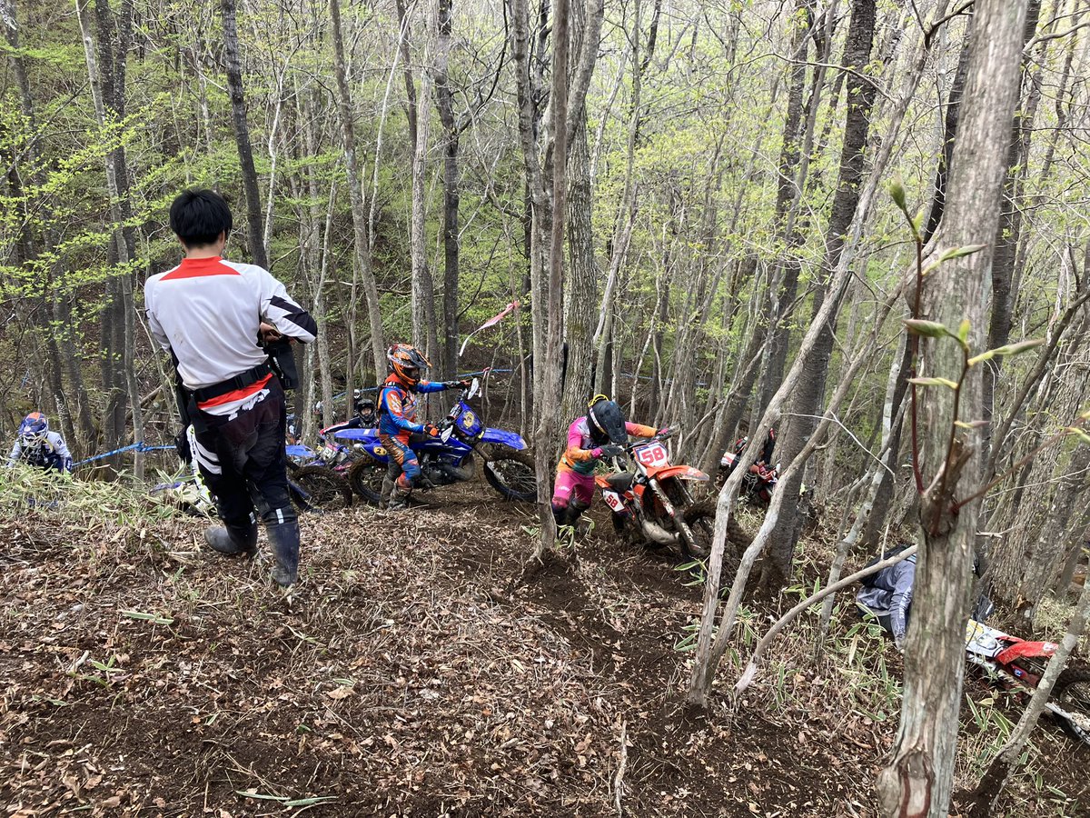 ミリオン tweet media