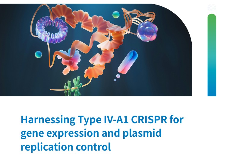 Novogene_Europe's tweet image. Explore how Novogene's CRISPR/Cas9 services enabled precise gene knockout &amp;amp; functional validation in a Marburg University study. See methods, outcomes &amp;amp; implications in the full case study. #CRISPR #GeneEditing #FunctionalGenomics tinyurl.com/2p9mueue