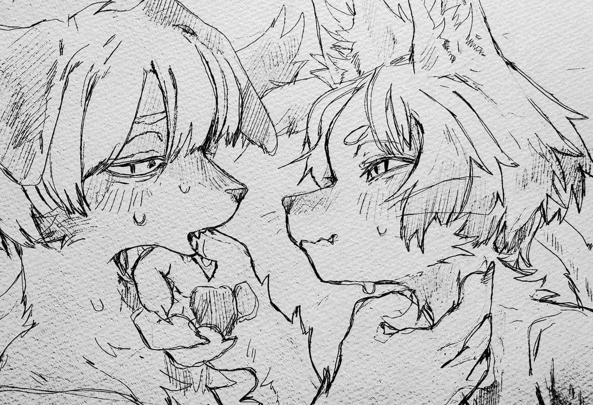 かほー tweet media