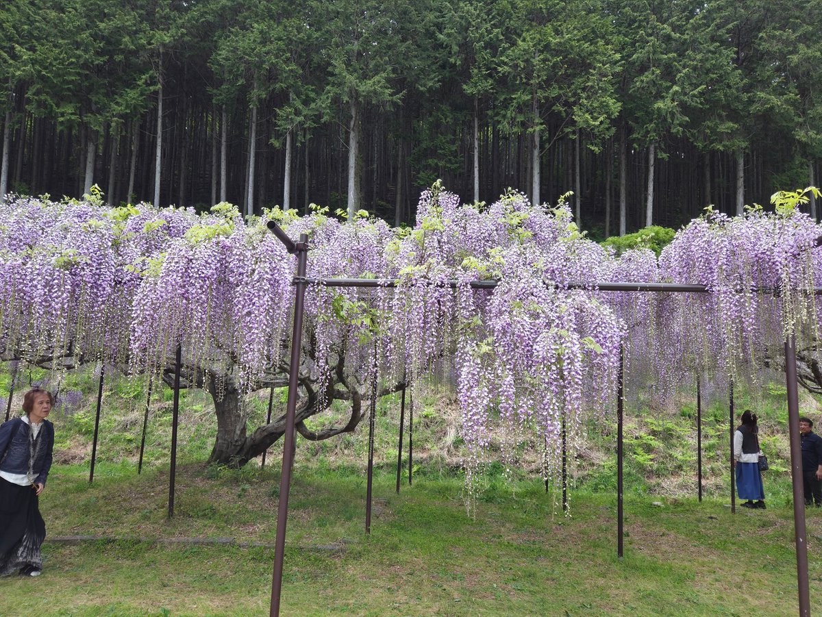 kazumi3🏝🌈🏄🏼‍♂️🤙 tweet media