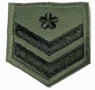 BORN FREE tweet media