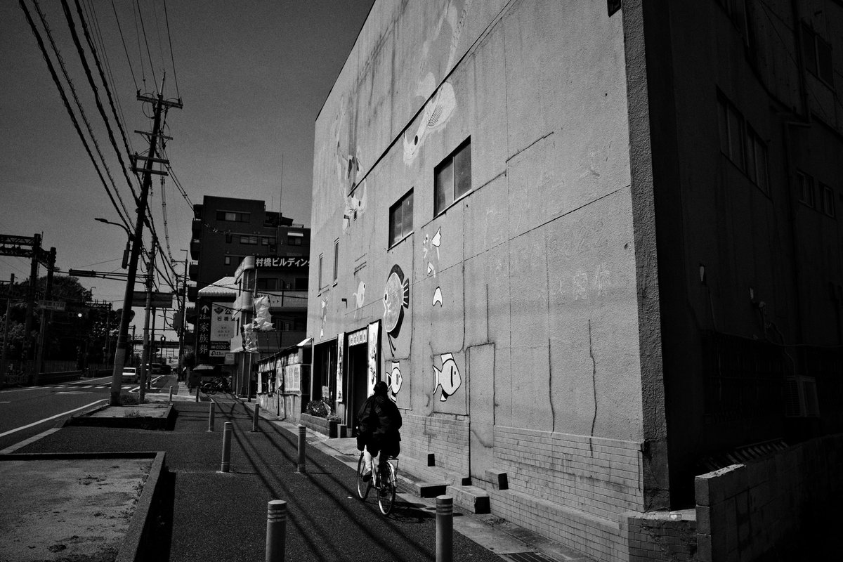 wao_camera's tweet image. 豊中

GRⅣ monochrome
#GR4monochrome #SnapShot 
#monochrome 
#streetsnap