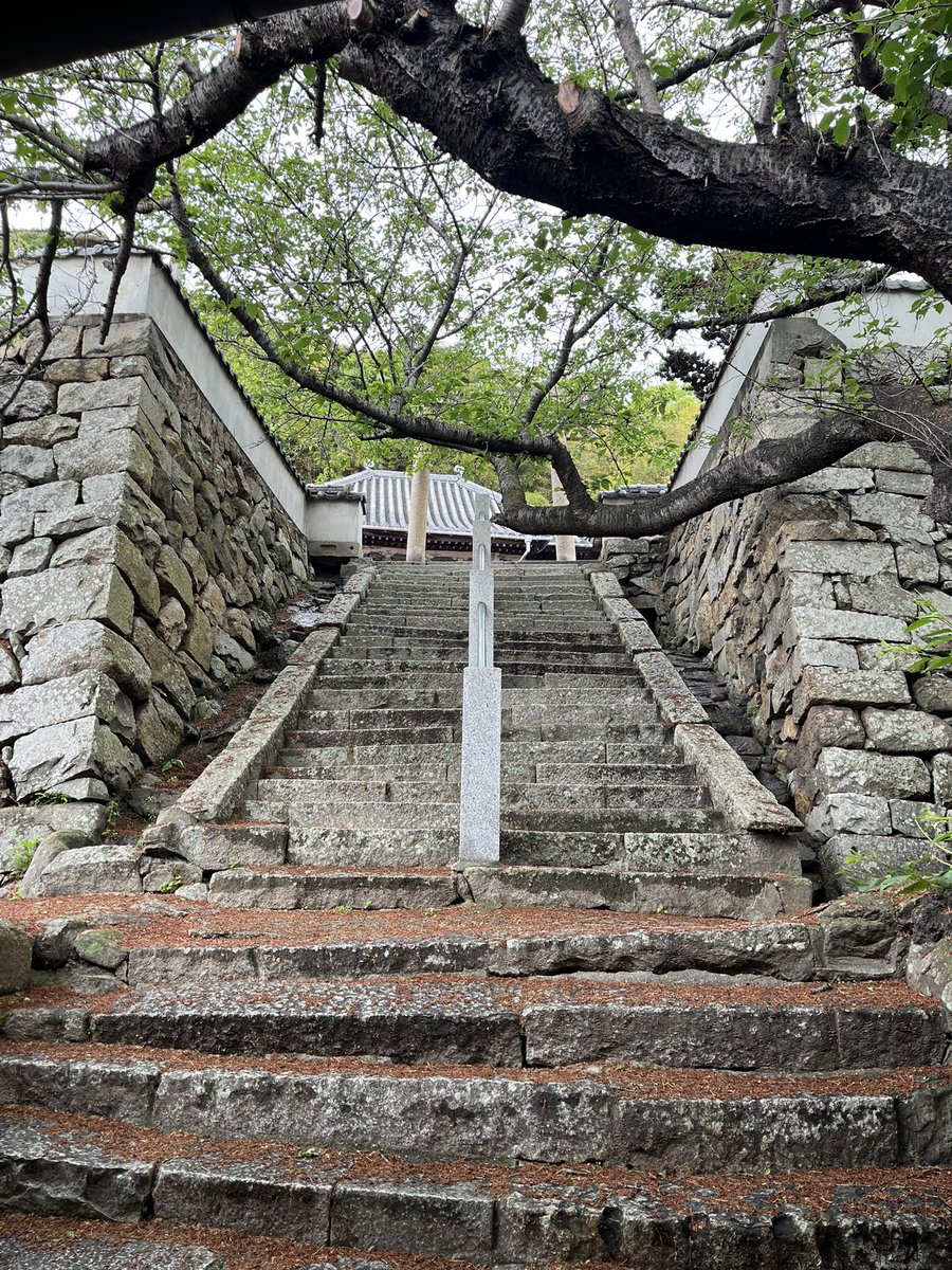 oimozuki tweet media